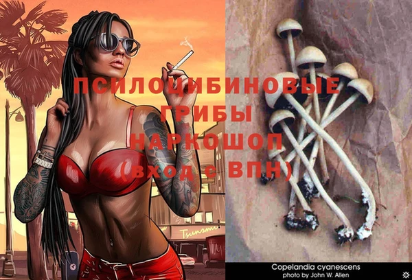 молекула духа Абаза