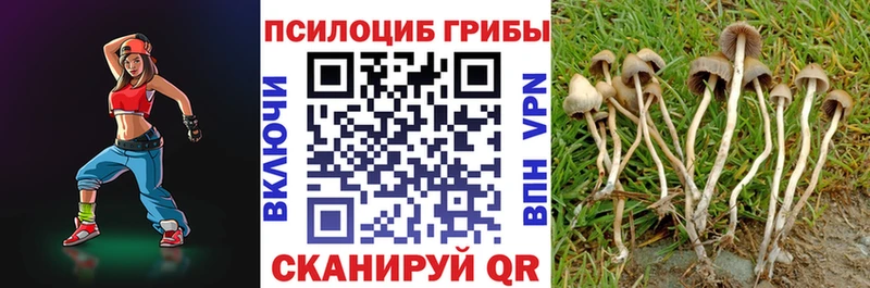 купить наркотик  Болгар  Галлюциногенные грибы Psilocybe 